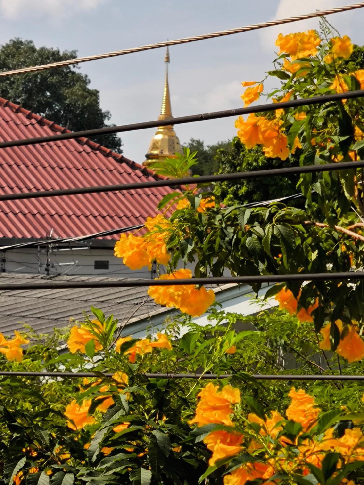 Ratchiangsaen Flora House Hotel Chiang Mai Exterior foto